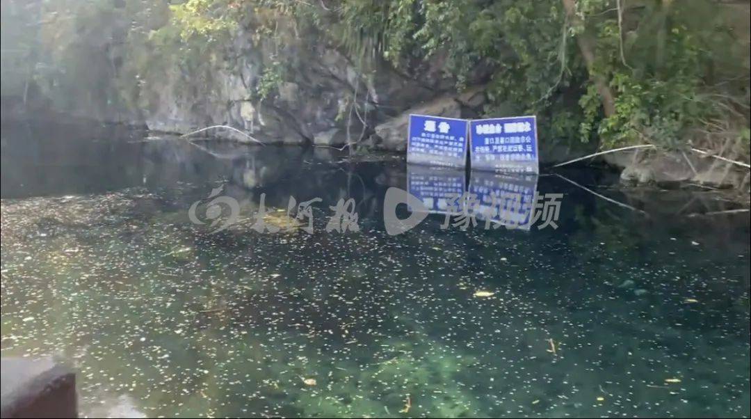 河南女子广西白龙洞潜水溺亡，事发地疑无证经营，1月前也有2人被排水口吸住！家属发声→