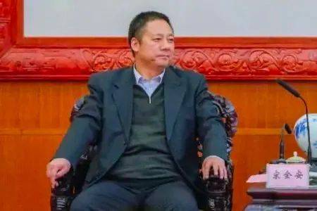 宋全安，严重不负责任，致使国家利益遭受特别重大损失