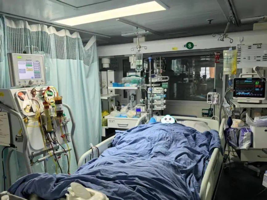 死亡率接近100%！一锅“山珍”蘑菇汤放倒一桌人！医生紧急提醒