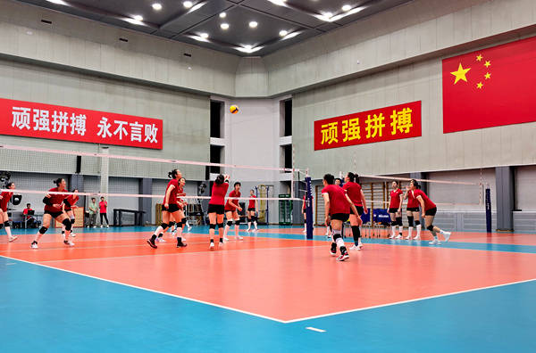 中国女排主教练赵勇：竭尽全力取得满意成绩