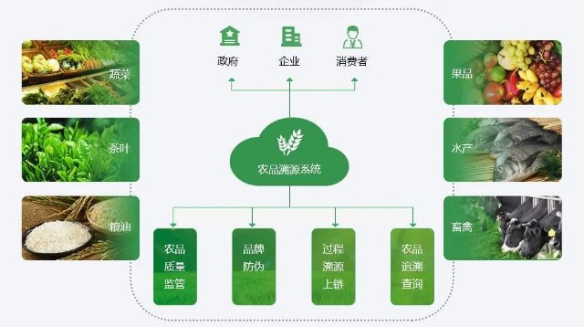 区块链农业(区块链农业供应链项目测评答案)