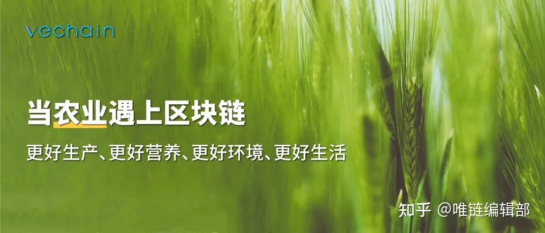 区块链农业(区块链农业是农业发展的新方向)