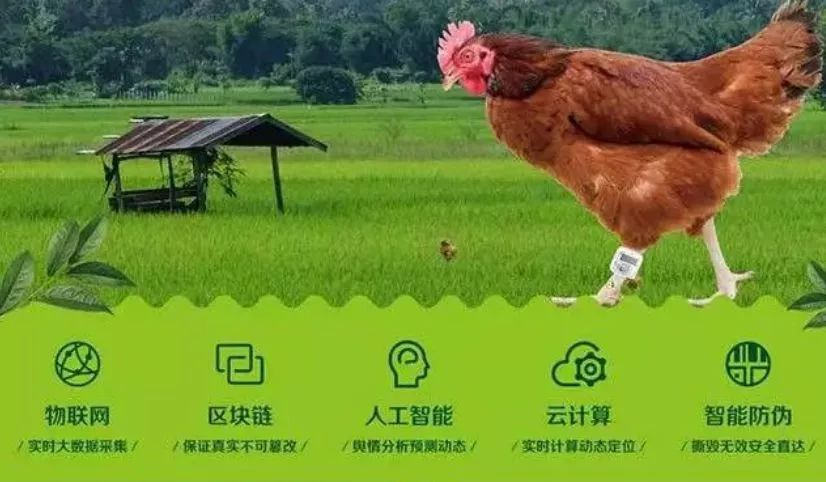 区块链农业(区块链农业应用)