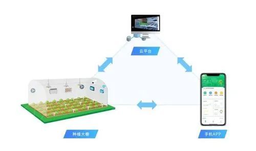 区块链农业(区块链农业应用)