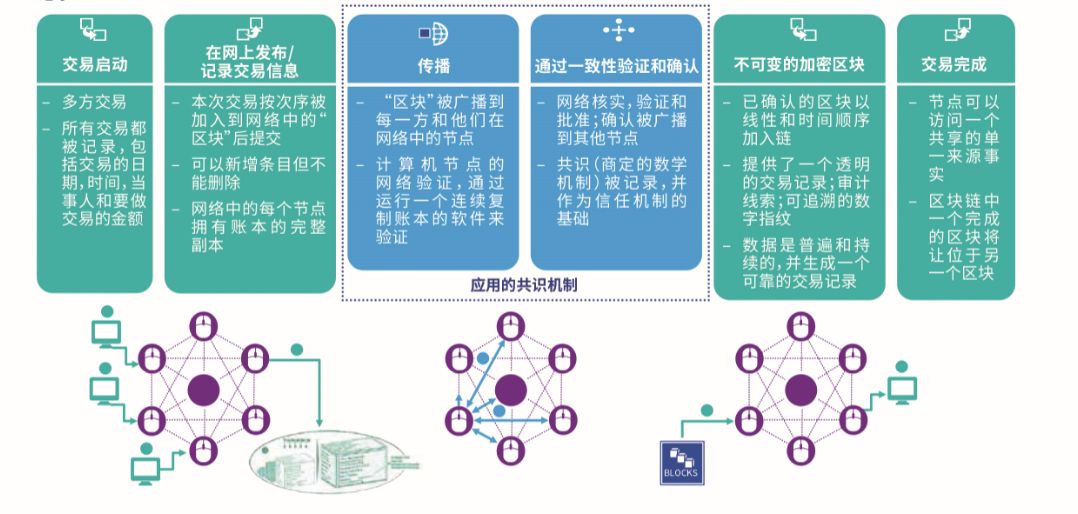 区块链数据库(区块链数据库中存在的两种记录命名为)