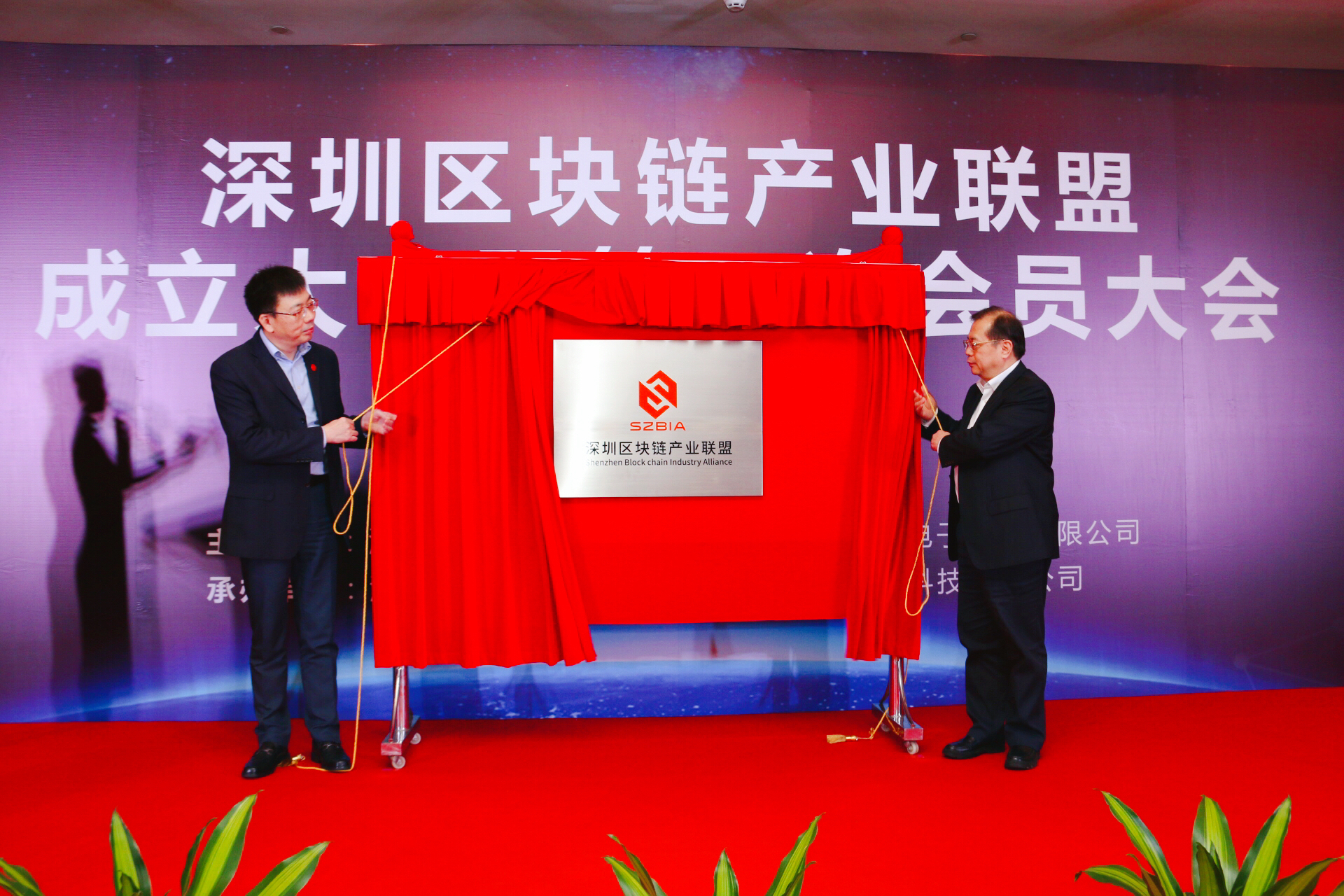 深圳区块链公司(国内最好的区块链公司)